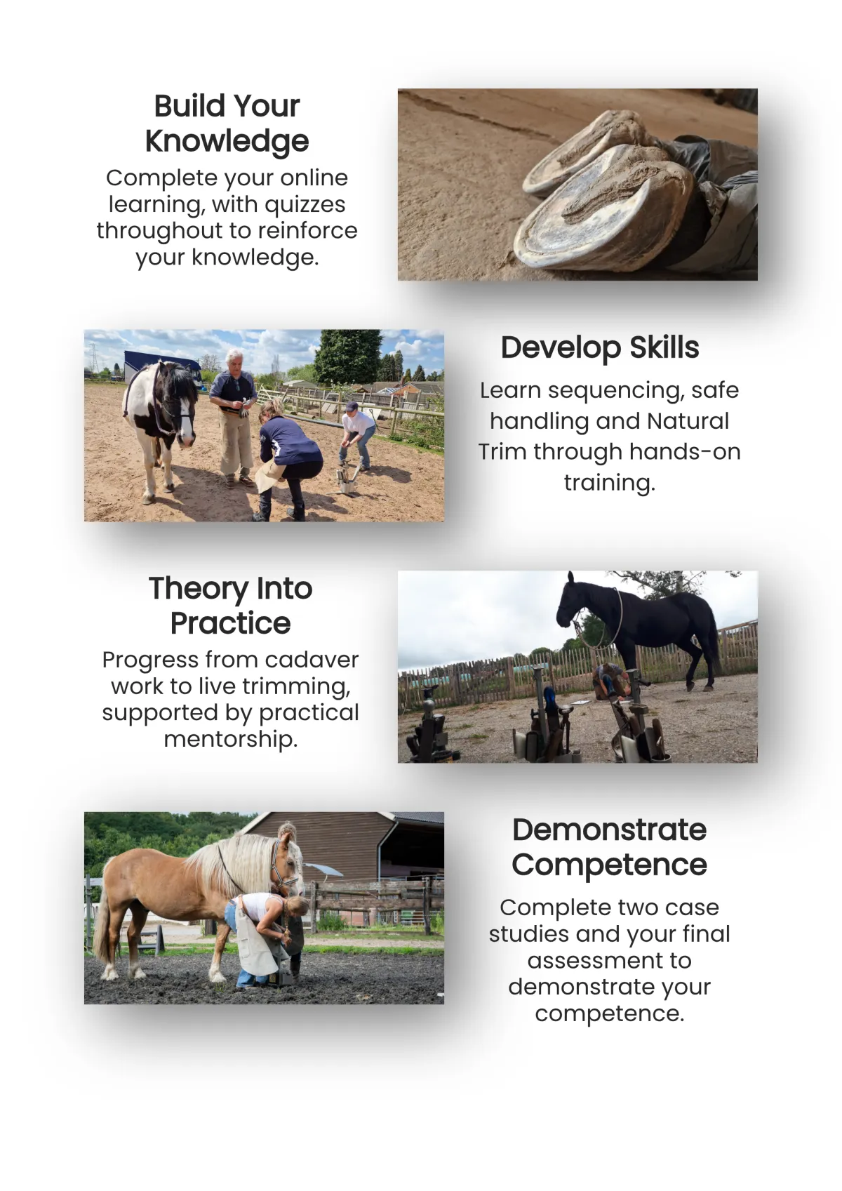 Learn How To