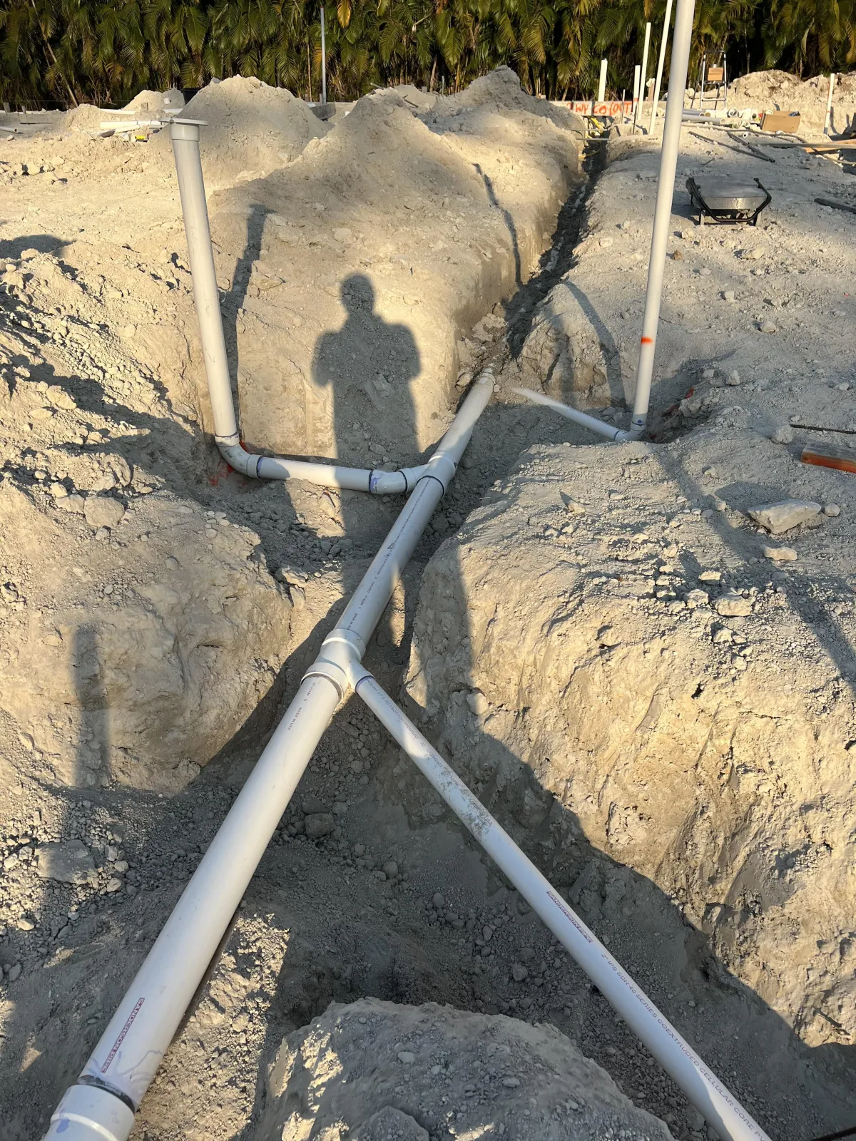 Collier County Project Management
