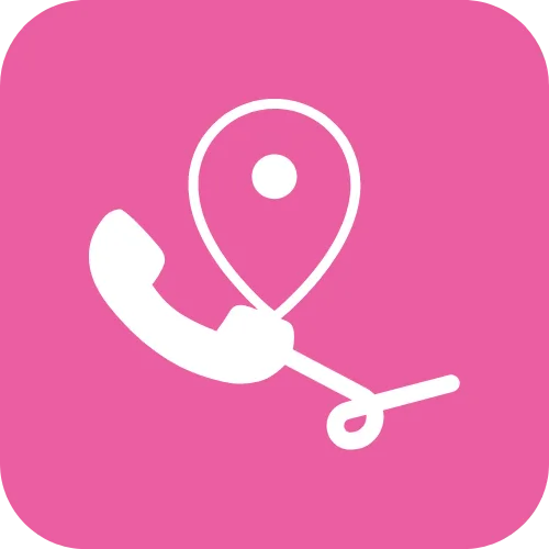 Phone System icon