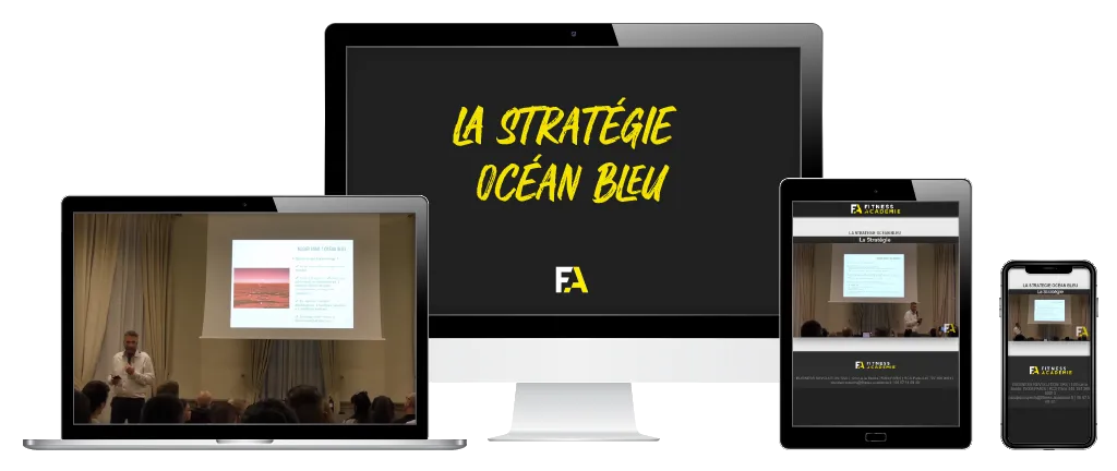 La Stratégie Océan Bleu
