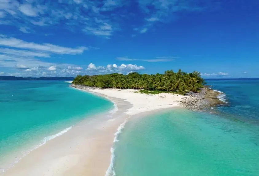 A dirt road in the middle of a forest