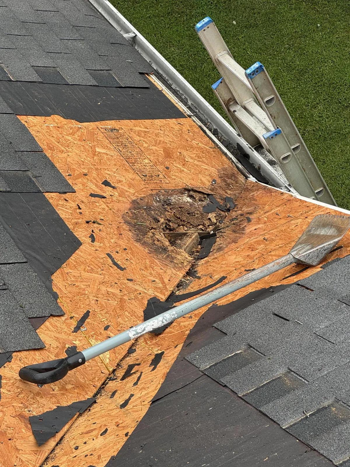 Concrete Contractor in Ventura County