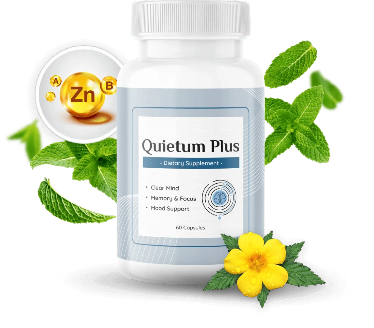 Quitum plus 1 bottle