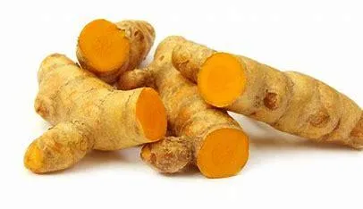 Curcuma