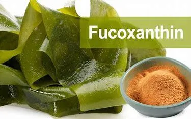 Fucoxanthin