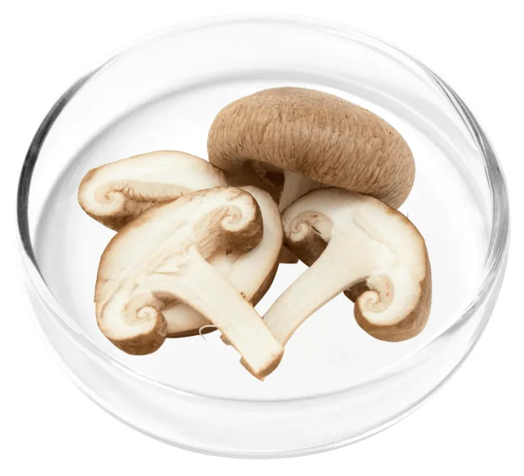 Cholecalciferol
