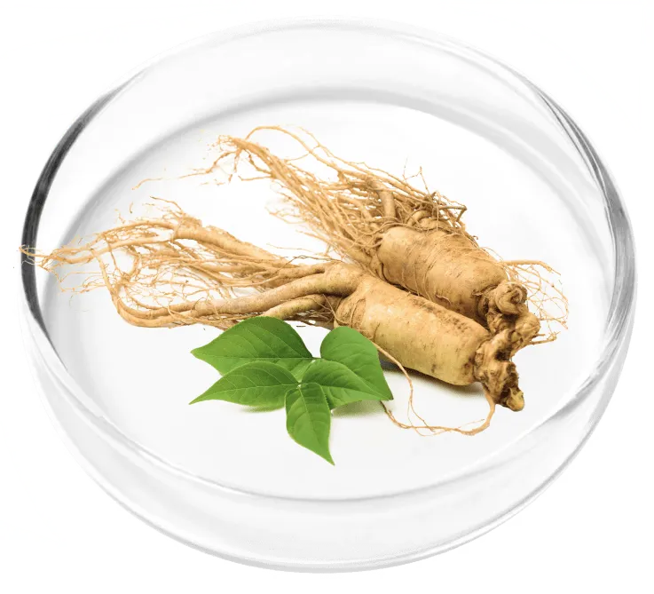 Ginseng Root Powder