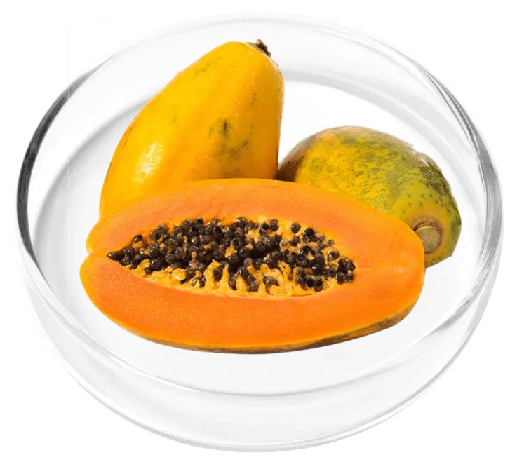 Papaya Powder