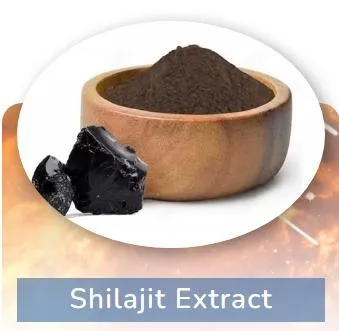 Shilajit Extract