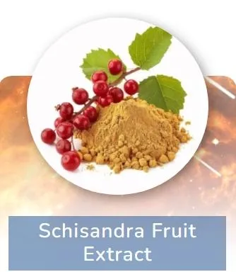 Schisandra Fruit Extract