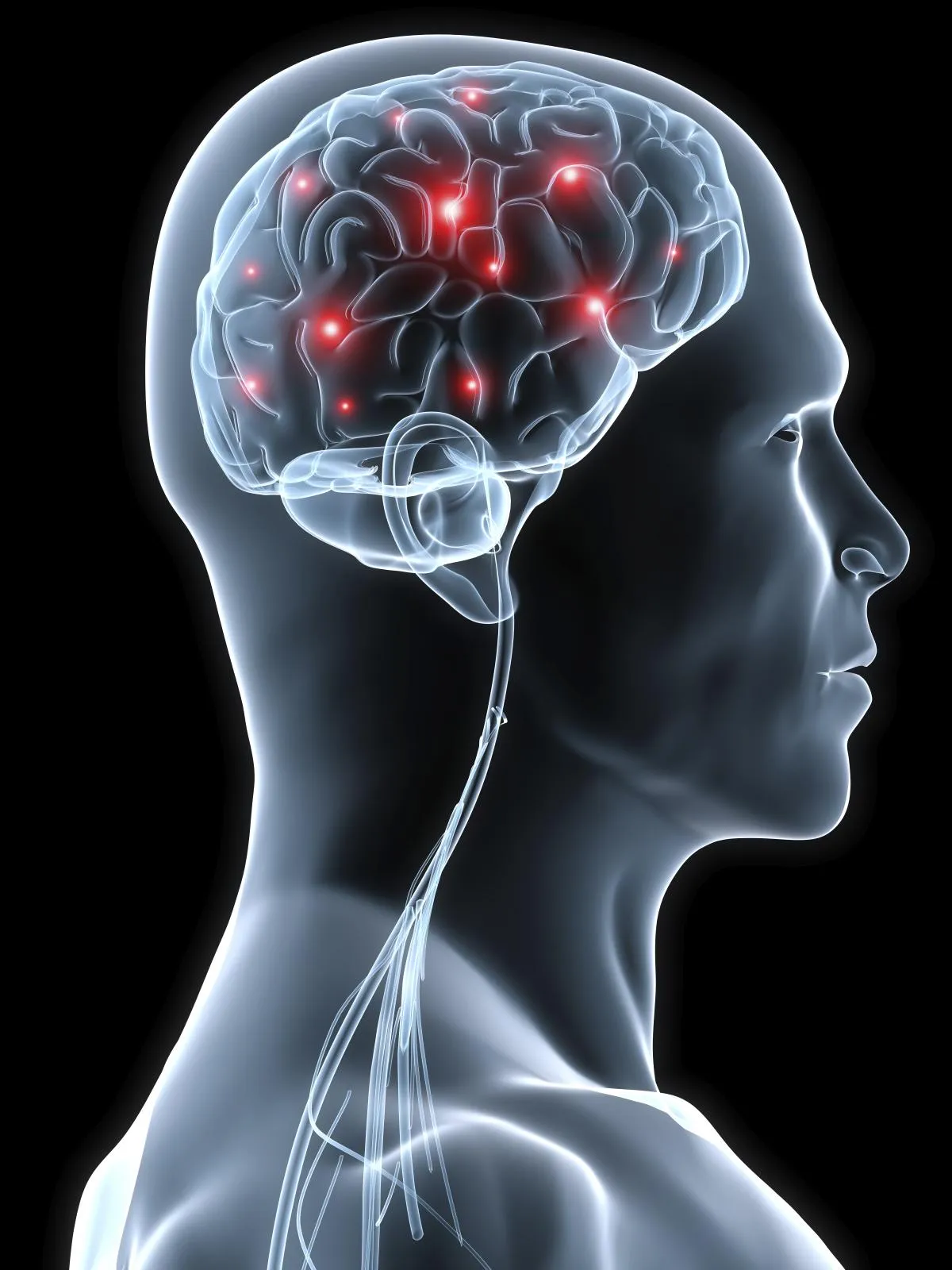 brain nerves