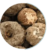 Konjac Extract Fiber