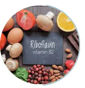 Riboflavin