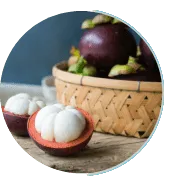 Mangosteen Powder