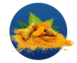 Turmeric