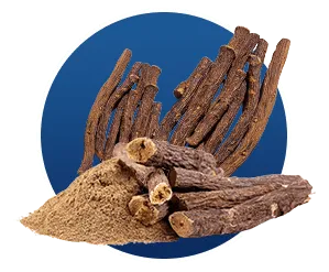Licorice Extract