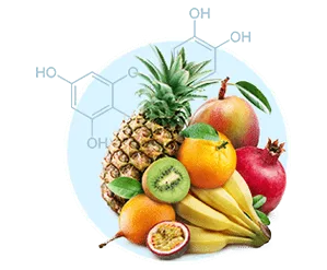 Quercetin