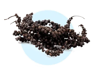 Piperine