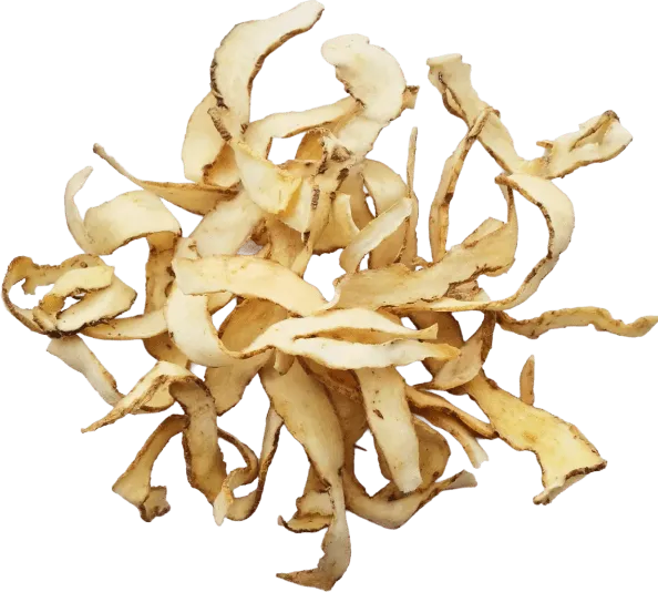 Solomon’s Seal