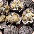 Black Walnut