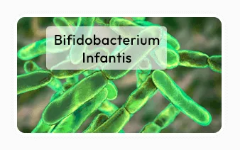 Bifidobacterium infantis