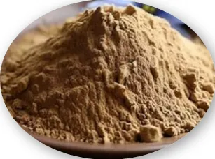 Inulin Powder