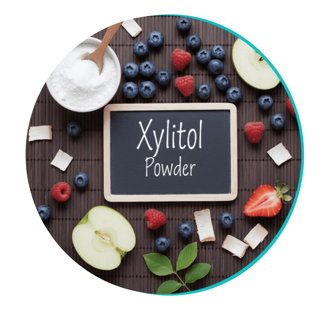 Xylitol Powder