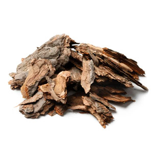 Slippery Elm Bark
