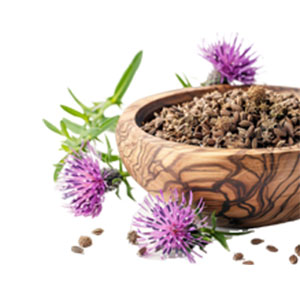 Milk Thistle Seed