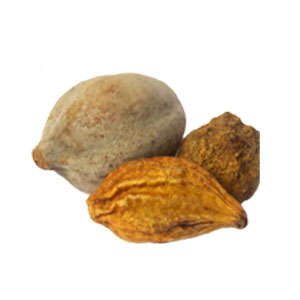 Triphala Fruit