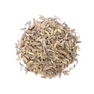 Fennel Seed