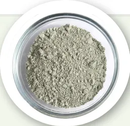 Clinoptilolite Zeolite Powder