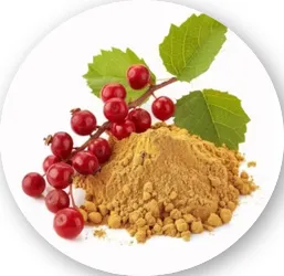 Schisandra Fruit Extract
