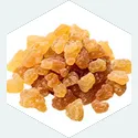 Guggul Gum Resin