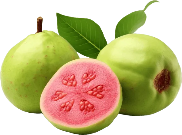 Guava Fruit Powder