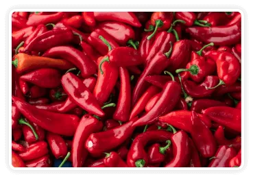 Andalusian Red Pepper
