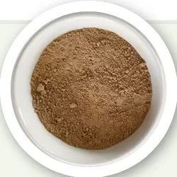 Reishi Mushroom Extract