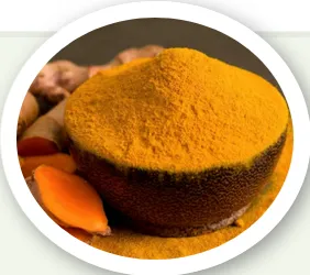 Turmeric Extract