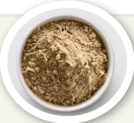 Lion's Mane Mushroom Powder