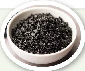 Shilajit