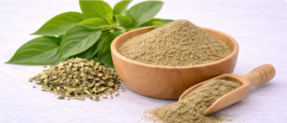 Gymnema Sylvestre Leaf