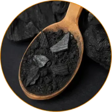 Shilajit