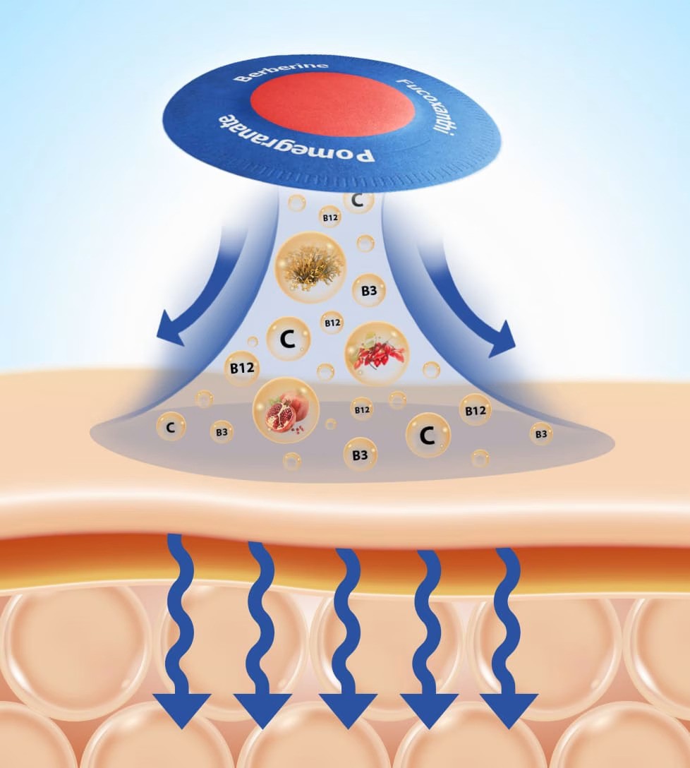 process of berberine patches