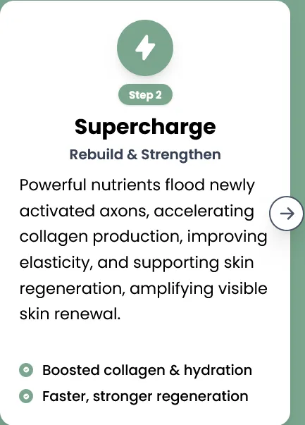 Step 2 Supercharge  Rebuild & Strengthen