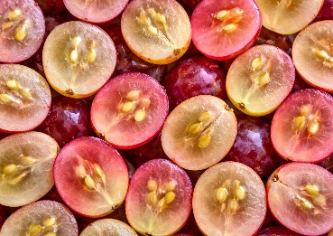 Resveratrol