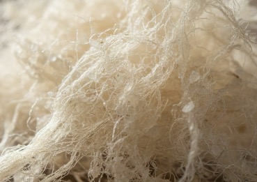 Konjac Fiber