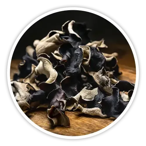 Black Fungus