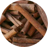 Ceylon Cinnamon Bark (Cinnamomum verum)