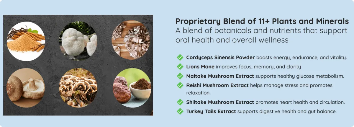 ingredients of mindoxa