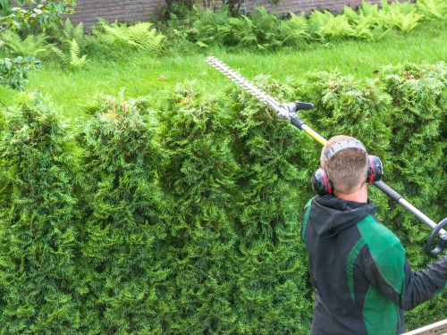 Lawn Care Morristown